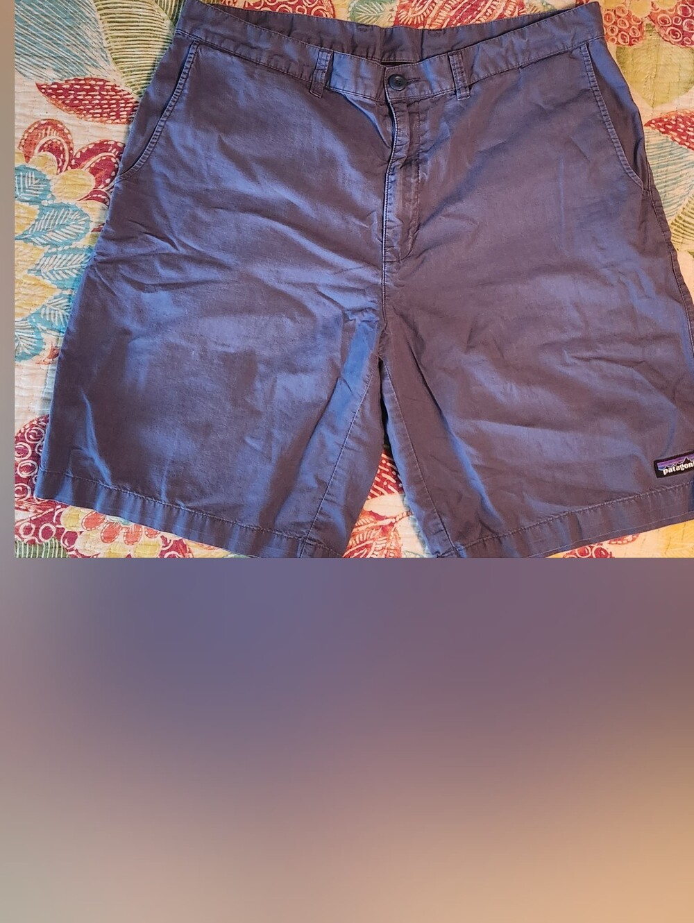 Patagonia Men's Navy Blue Flat-Front Casual Shorts, Size 36
